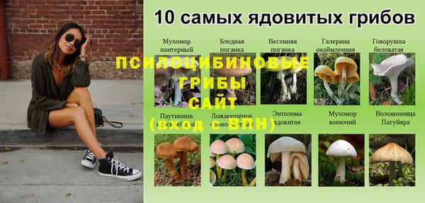 дживик Алзамай