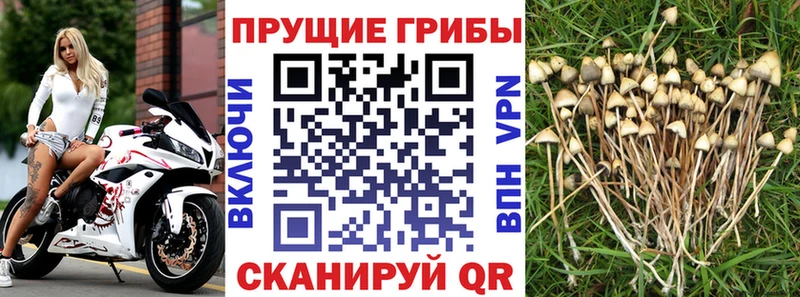 Галлюциногенные грибы Magic Shrooms  Лихославль 
